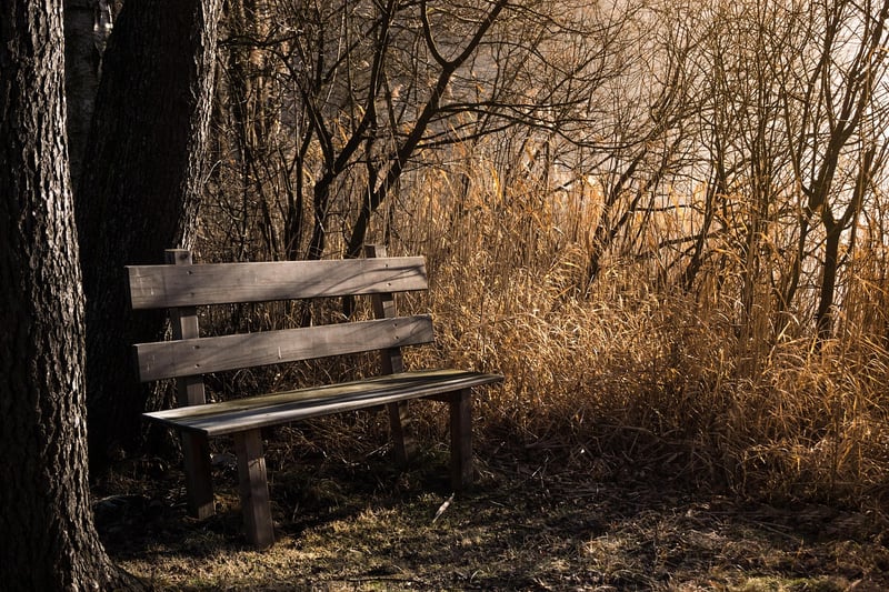 Tranquil Park